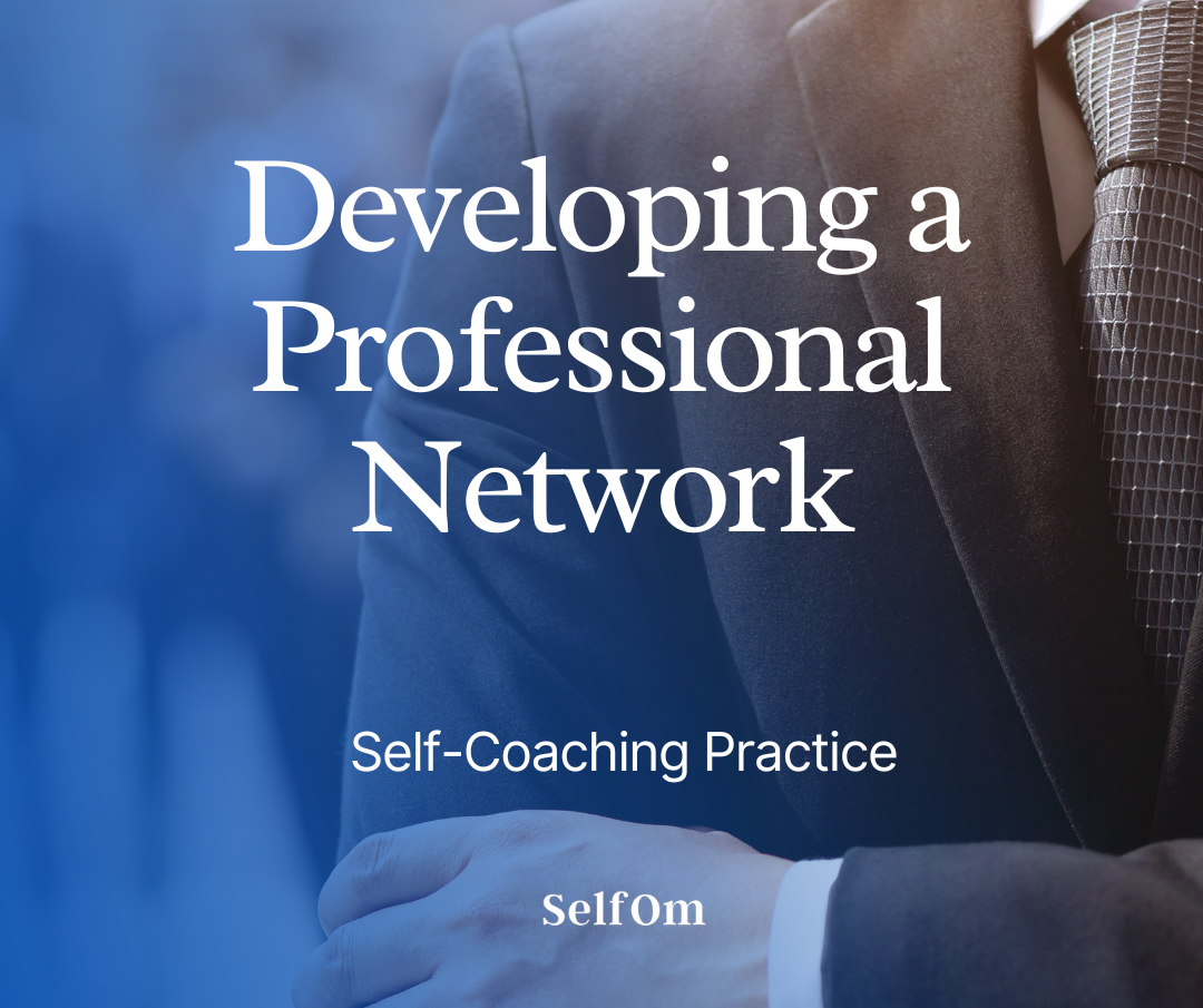 Developing a Professional Network